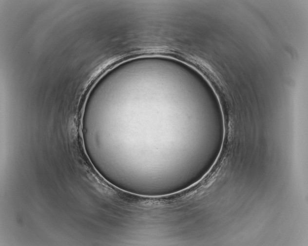 X0000115711212200911121418