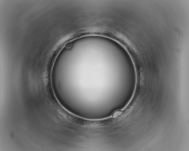 X0000115711213200911121418