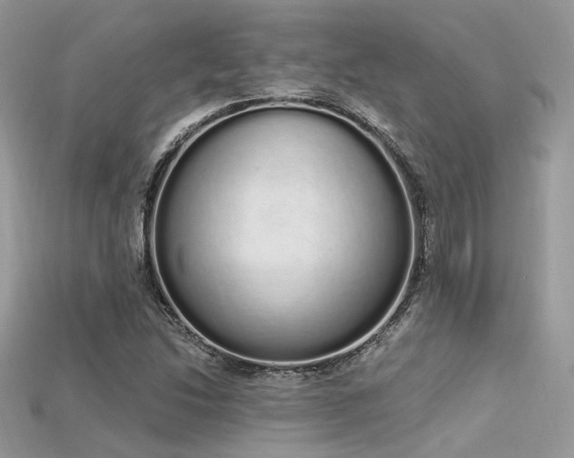 X0000115711214200911121418