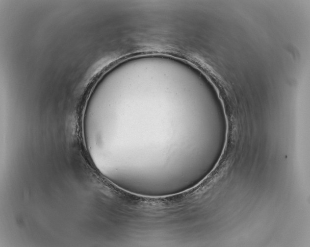 X0000115711215200911121418