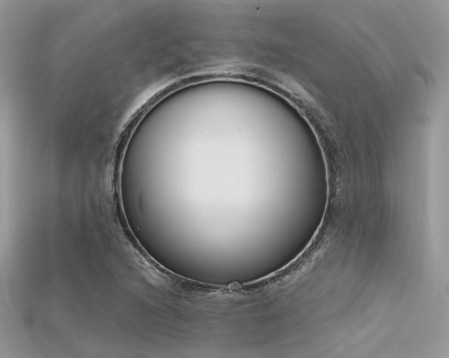 X0000115711216200911121418