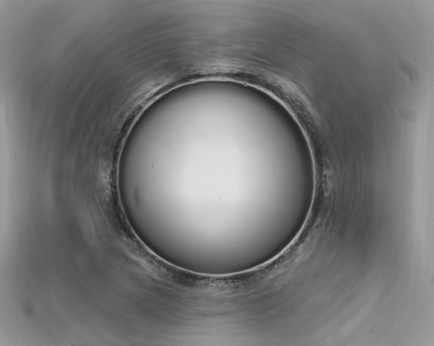 X0000115711217200911121418