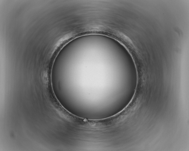 X0000115711218200911121418