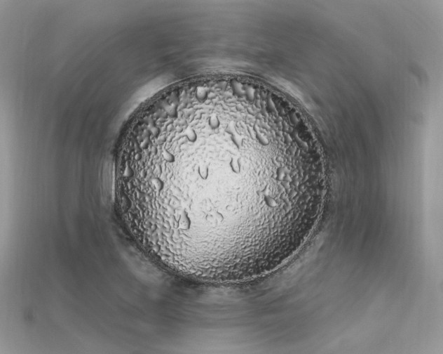 X0000115711219200911121418