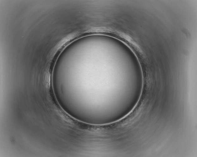 X0000115711221200911121418