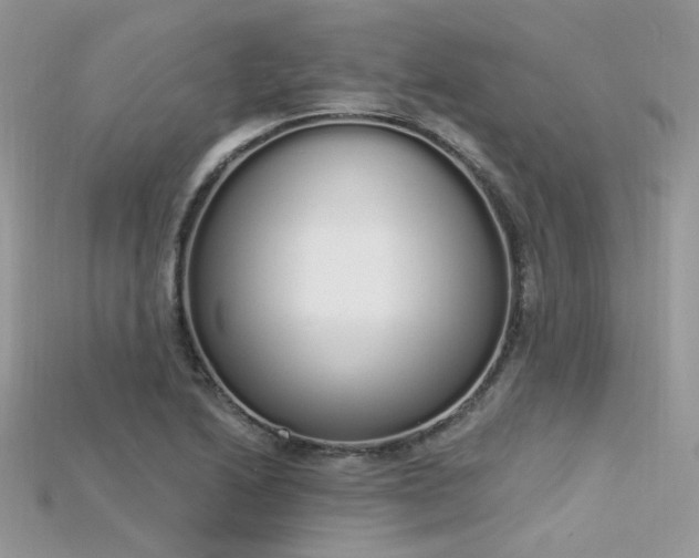 X0000115711222200911121418