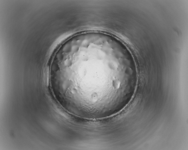 X0000115711223200911121418