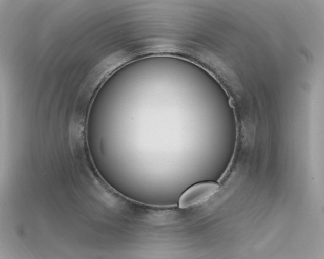 X0000115711225200911121418