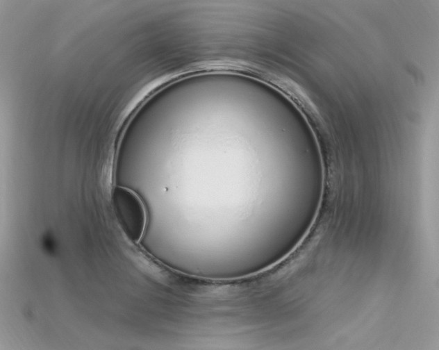 X0000115711228200911121418