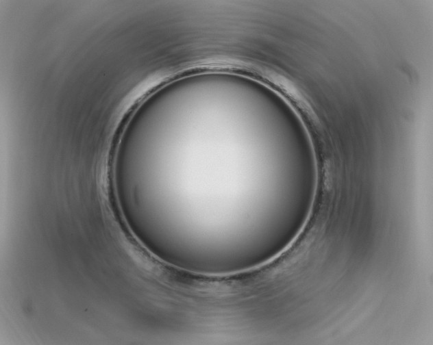 X0000115711229200911121418