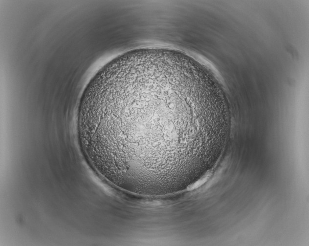 X0000115711231200911121418