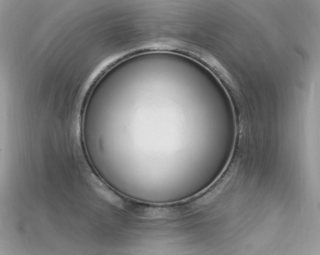 X0000115711232200911121418