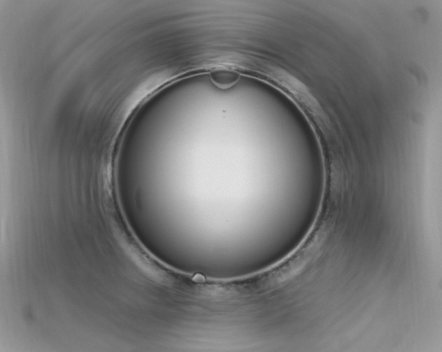 X0000115711234200911121418