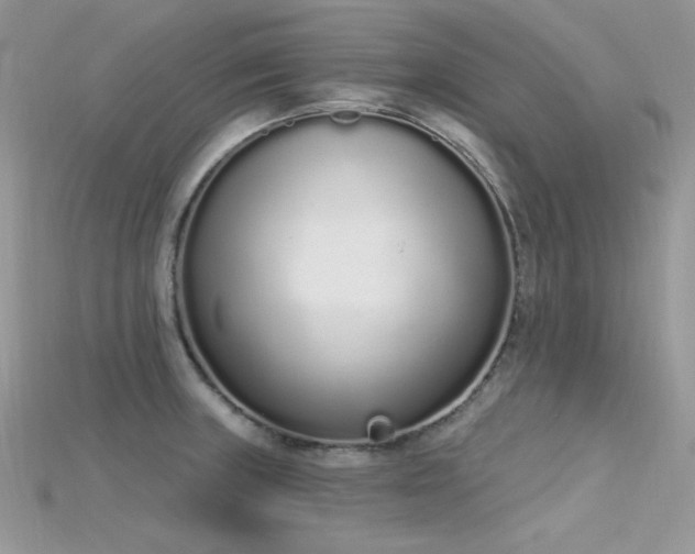 X0000115711235200911121418