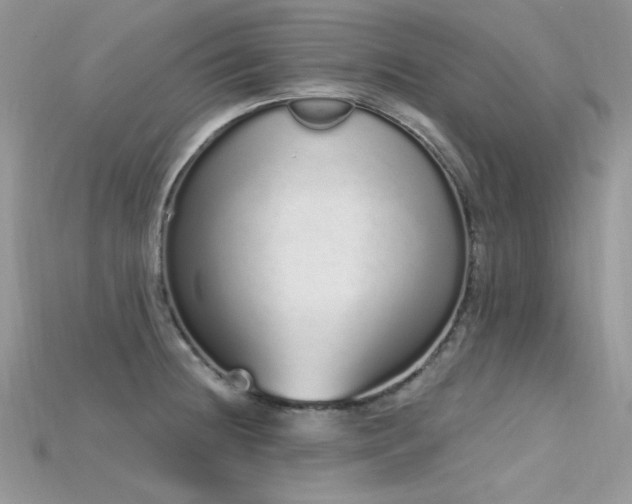 X0000115711236200911121418