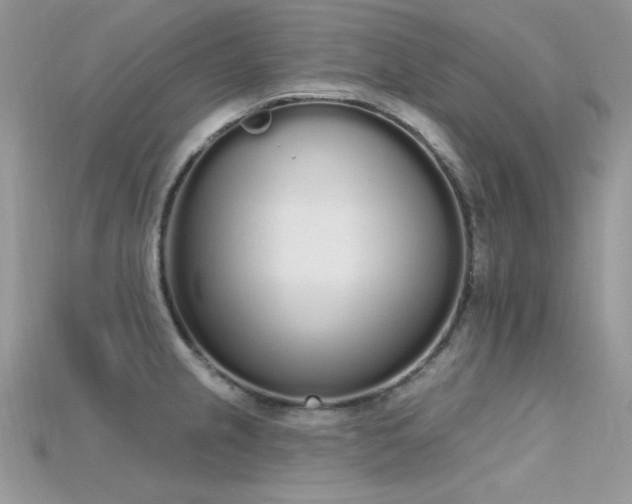 X0000115711237200911121418