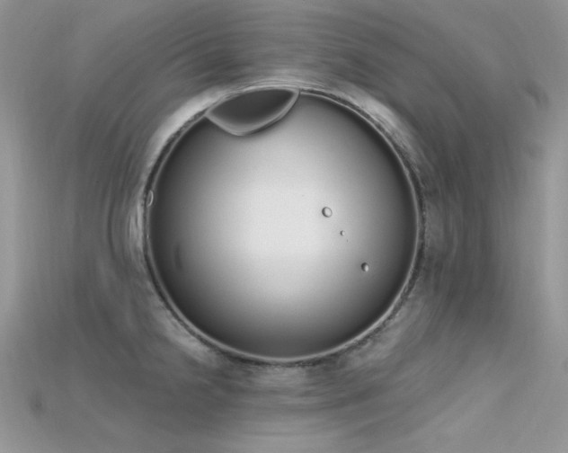 X0000115711238200911121418