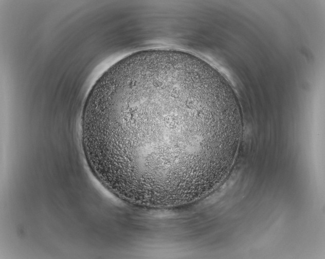 X0000115711239200911121418