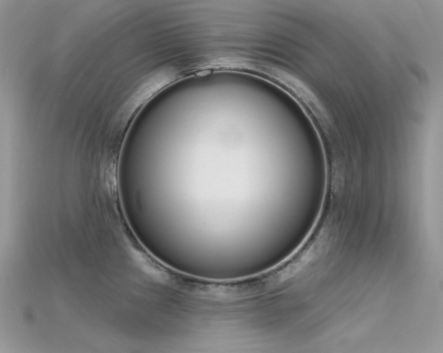 X0000115711241200911121418