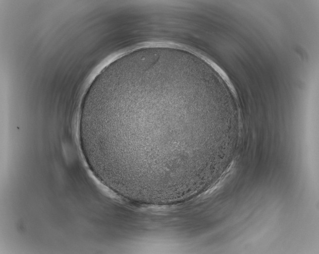 X0000115711245200911121419