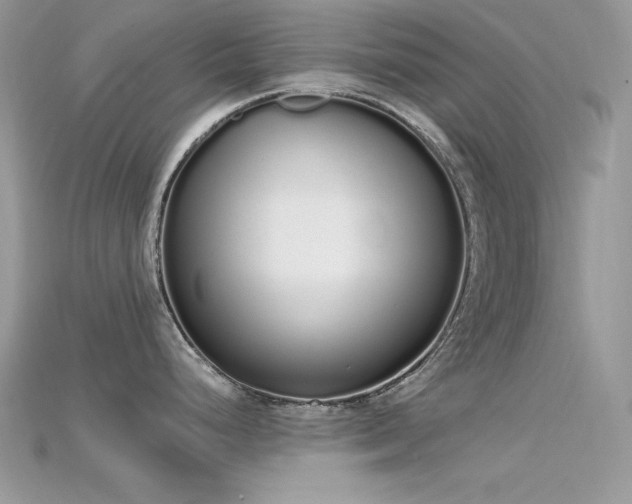 X0000115711248200911121419