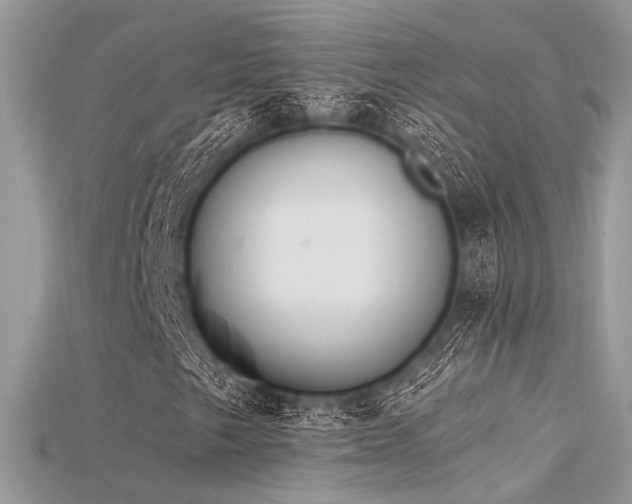 X0000115711249200911121418