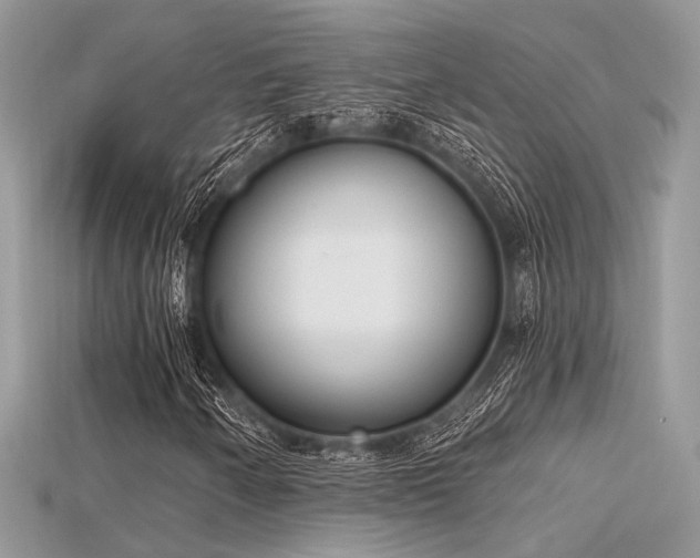 X0000115711250200911121418