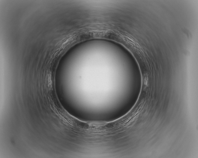 X0000115711252200911121418