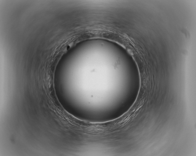 X0000115711253200911121418