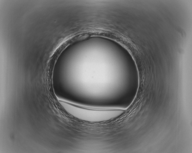 X0000115711256200911121418