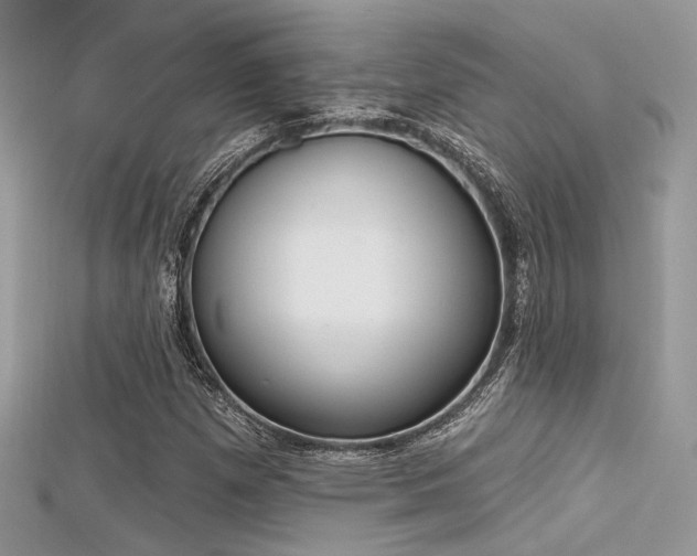 X0000115711257200911121418