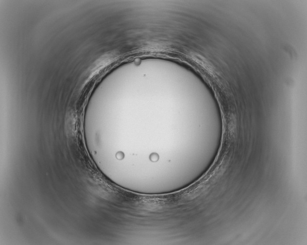 X0000115711258200911121418