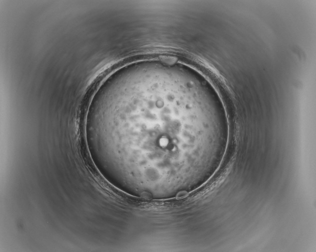 X0000115711259200911121418