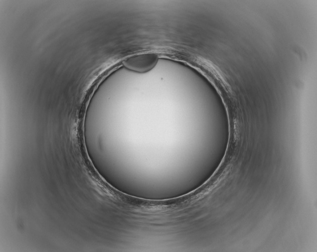 X0000115711260200911121418