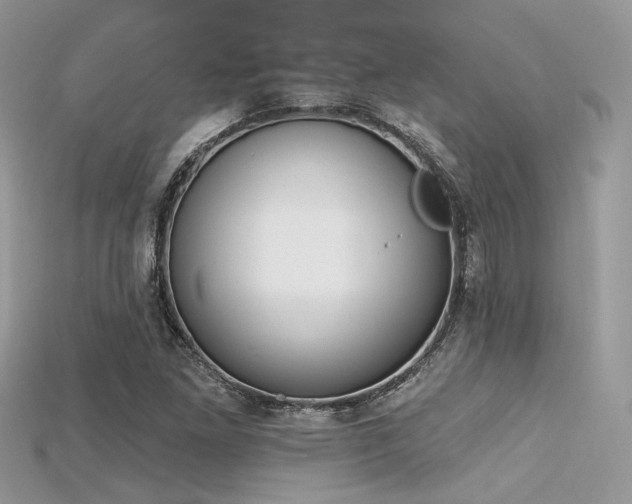 X0000115711261200911121418