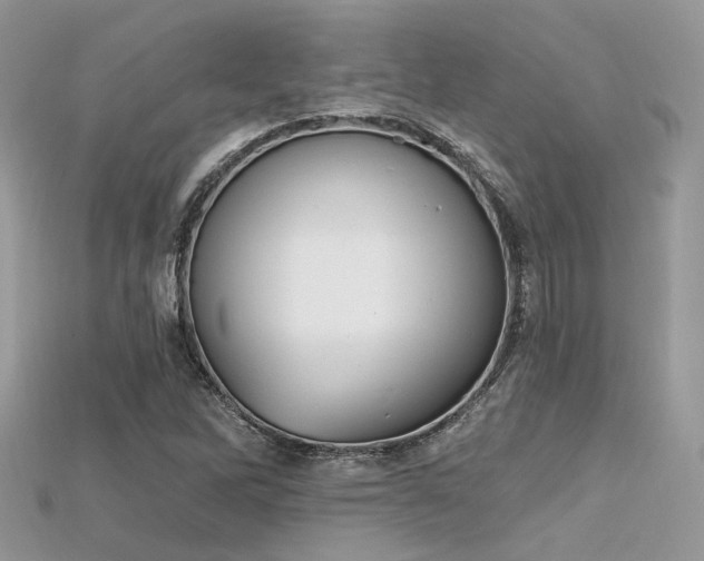 X0000115711262200911121418