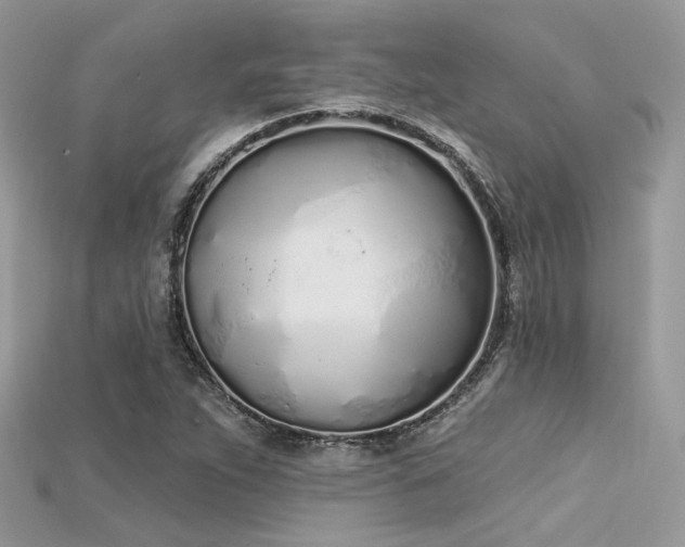 X0000115711263200911121418