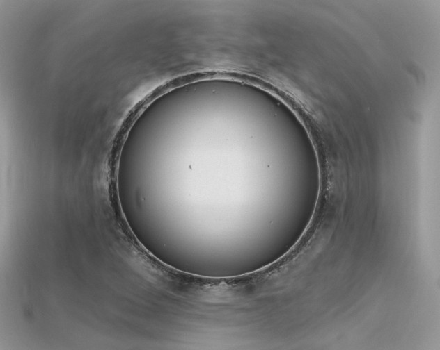 X0000115711264200911121418