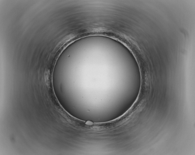 X0000115711265200911121418