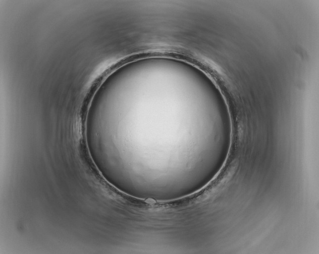 X0000115711267200911121418