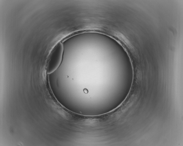 X0000115711268200911121418