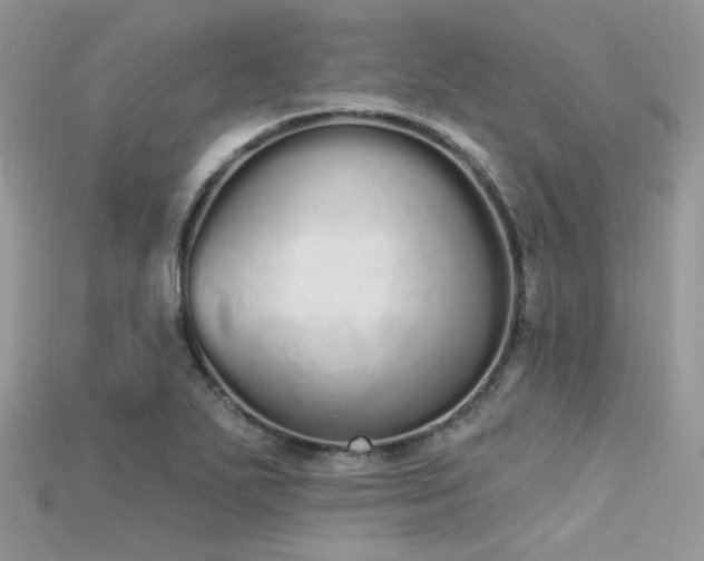 X0000115711271200911121418