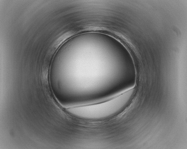 X0000115711273200911121418