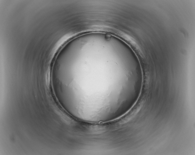 X0000115711275200911121418