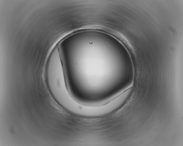 X0000115711276200911121418