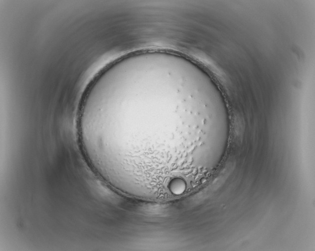 X0000115711278200911121418