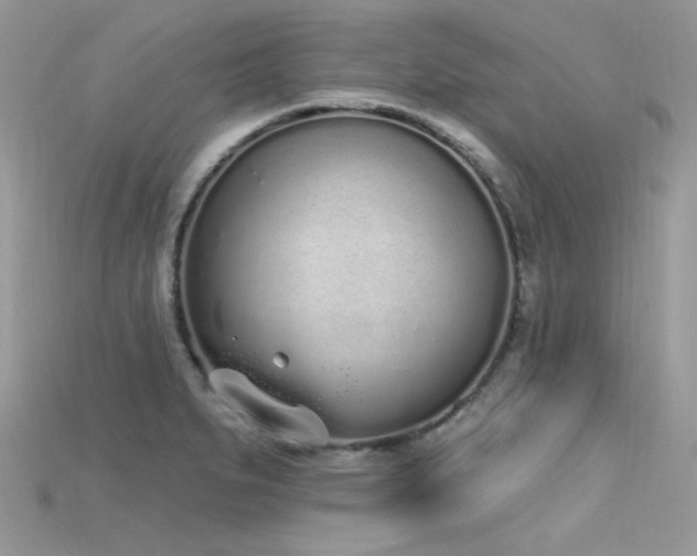 X0000115711279200911121418