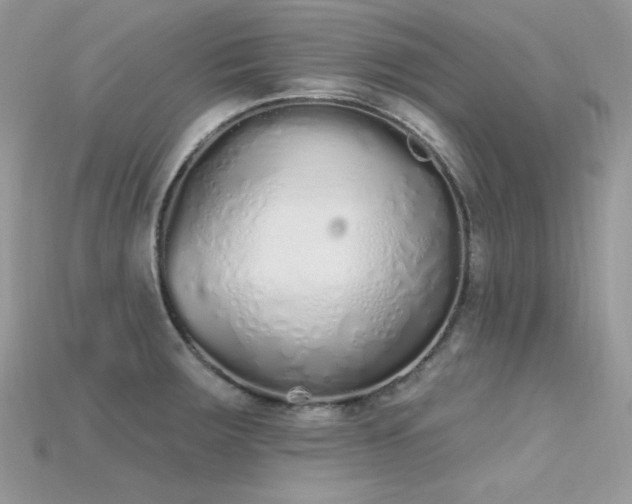 X0000115711283200911121418