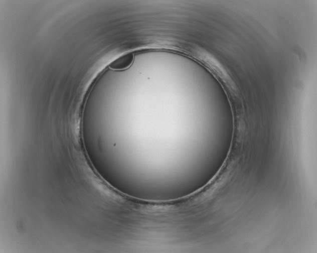 X0000115711284200911121418