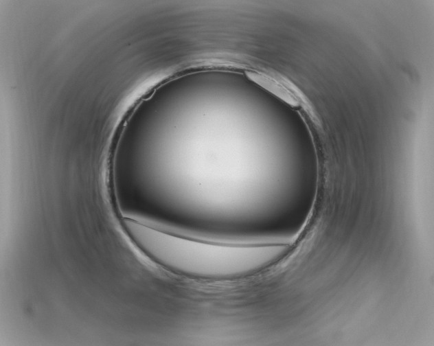 X0000115711285200911121417